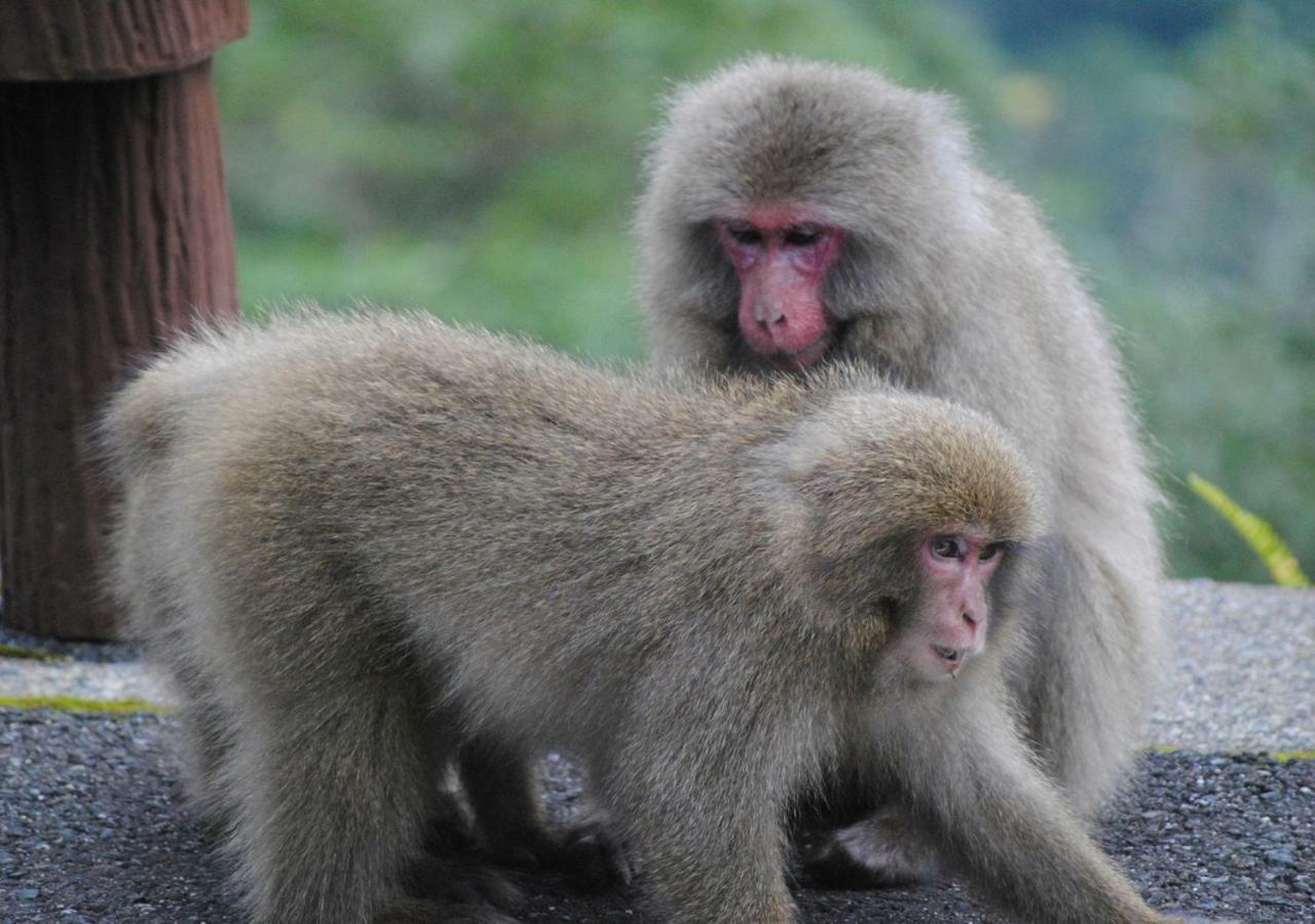 Apa Hotel Kagoshima Chuo Ekimae Zewnętrze zdjęcie